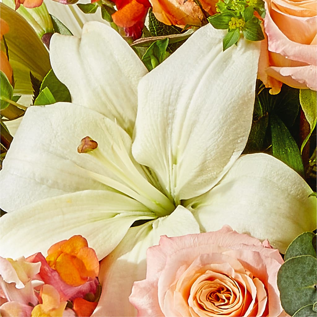Grapefruit Splash Bouquet – TAYLOR'S MERCANTILE, Sewanee TN