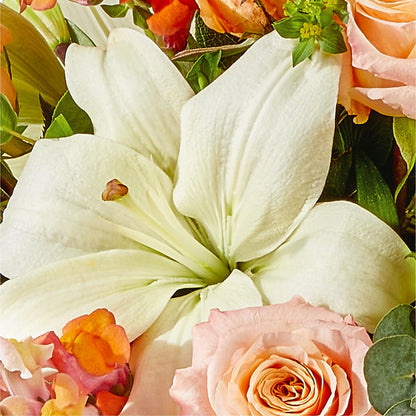 Grapefruit Splash Bouquet – TAYLOR'S MERCANTILE, Sewanee TN
