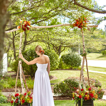 Arbor of Love Archway – TAYLOR'S MERCANTILE, Sewanee TN