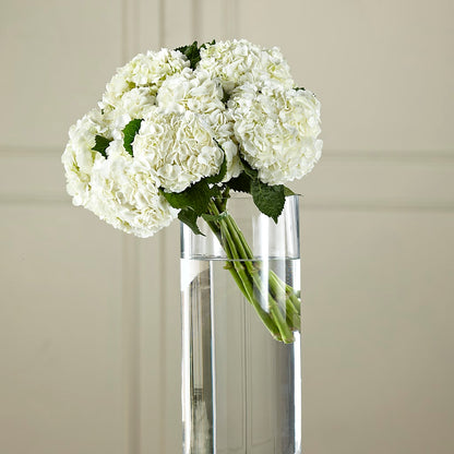 White Hydrangea Hand-Tied Bouquet – TAYLOR'S MERCANTILE, Sewanee TN