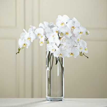 White Phalaenopsis Bouquet – TAYLOR'S MERCANTILE, Sewanee TN