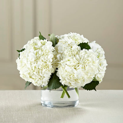 White Hydrangea Bouquet – TAYLOR'S MERCANTILE, Sewanee TN